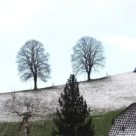 Bed & Breakfast Schlaraffenland